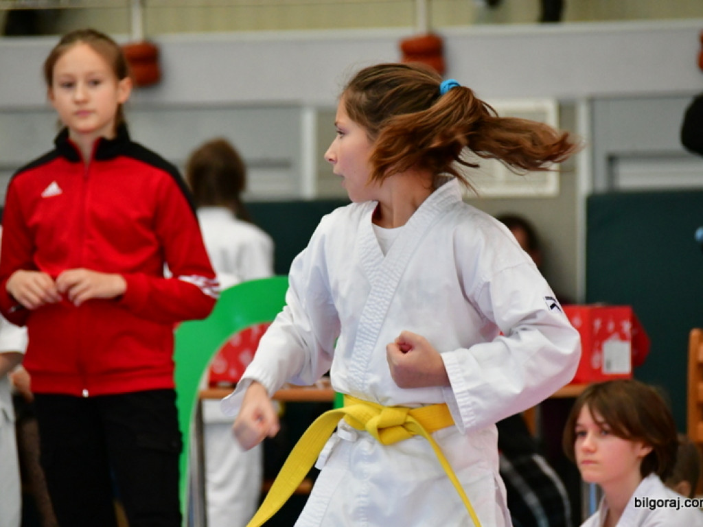 28. Mikołajkowy Turniej Karate Tradycyjnego dla Dzieci (FOTO)