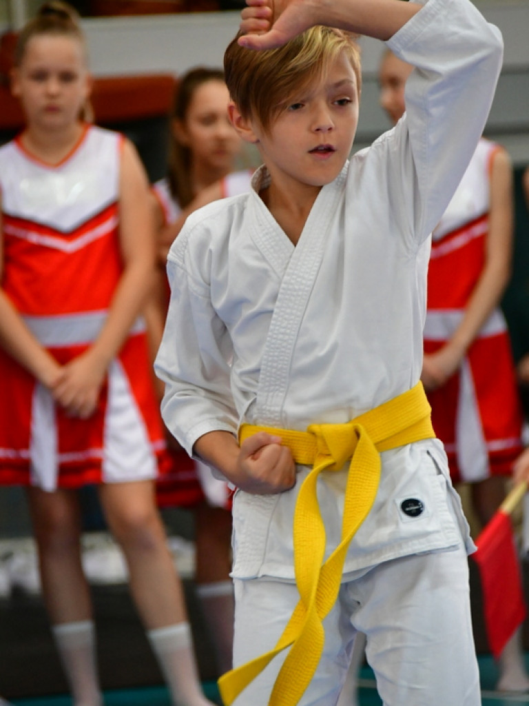 28. Mikołajkowy Turniej Karate Tradycyjnego dla Dzieci (FOTO)