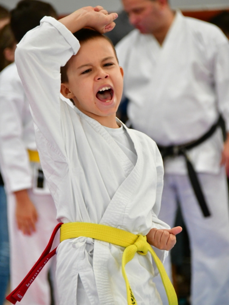 28. Mikołajkowy Turniej Karate Tradycyjnego dla Dzieci (FOTO)