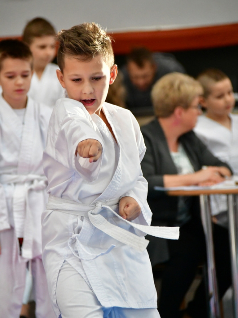 28. Mikołajkowy Turniej Karate Tradycyjnego dla Dzieci (FOTO)