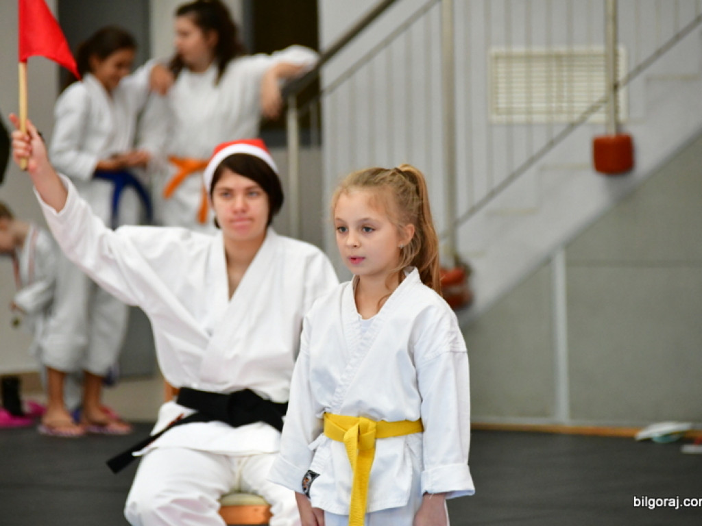 28. Mikołajkowy Turniej Karate Tradycyjnego dla Dzieci (FOTO)