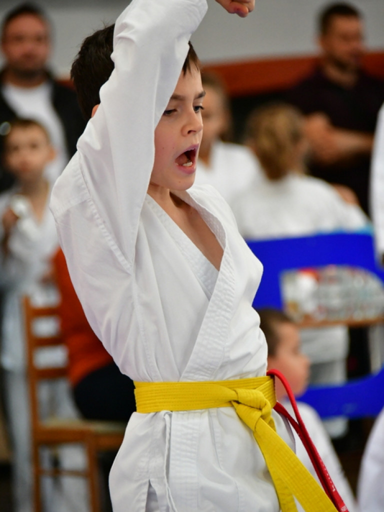 28. Mikołajkowy Turniej Karate Tradycyjnego dla Dzieci (FOTO)