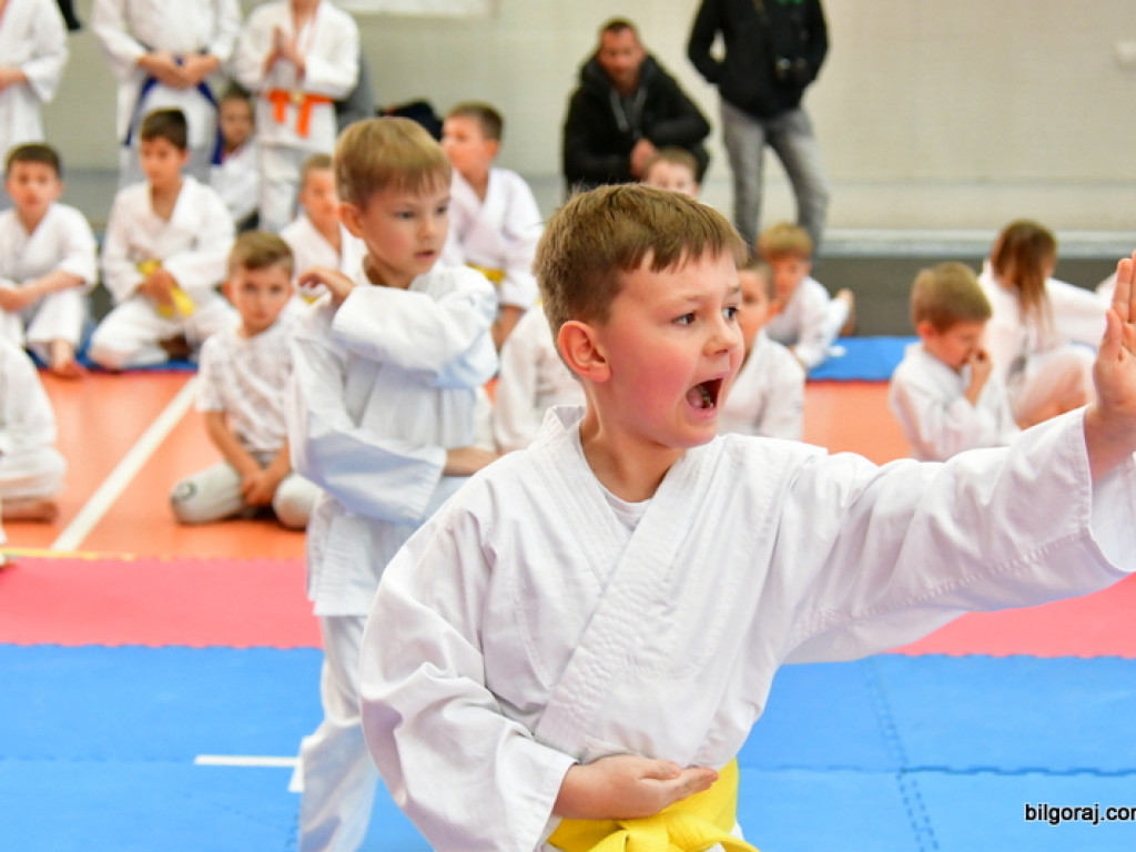 28. Mikołajkowy Turniej Karate Tradycyjnego dla Dzieci (FOTO)