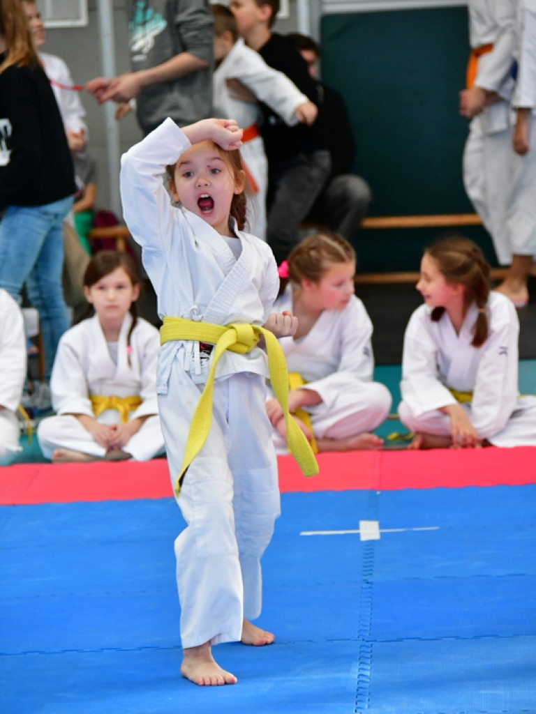 28. Mikołajkowy Turniej Karate Tradycyjnego dla Dzieci (FOTO)