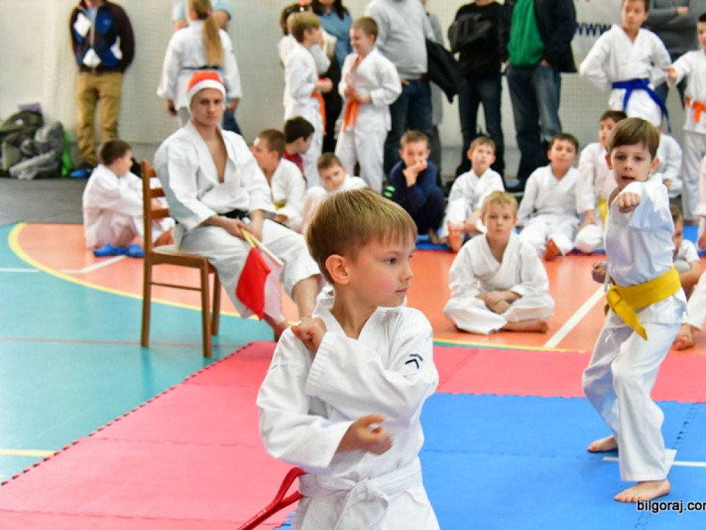 28. Mikołajkowy Turniej Karate Tradycyjnego dla Dzieci (FOTO)