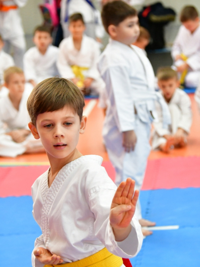 28. Mikołajkowy Turniej Karate Tradycyjnego dla Dzieci (FOTO)