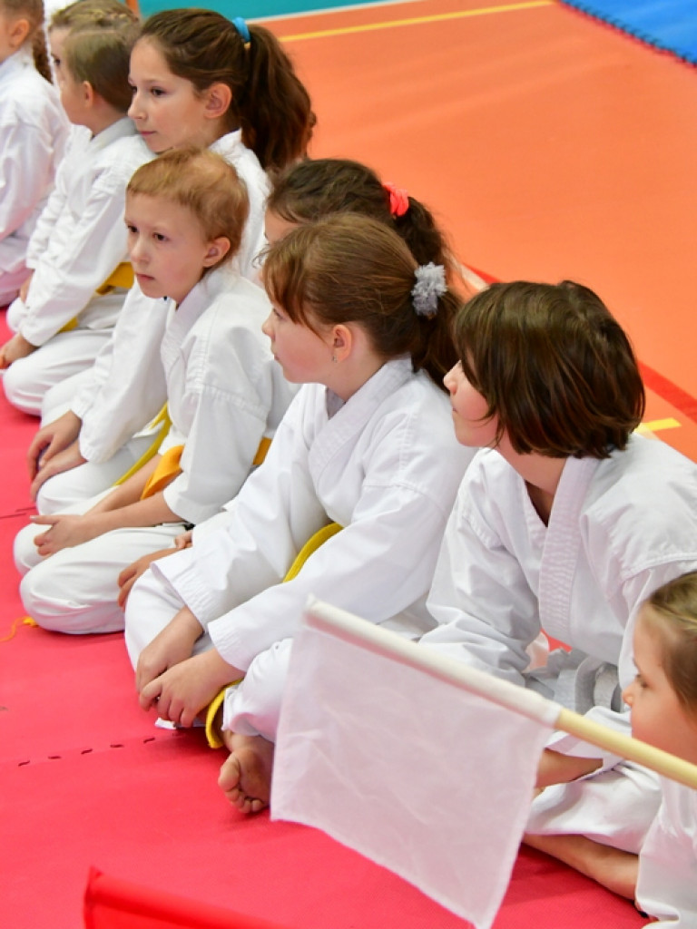 28. Mikołajkowy Turniej Karate Tradycyjnego dla Dzieci (FOTO)