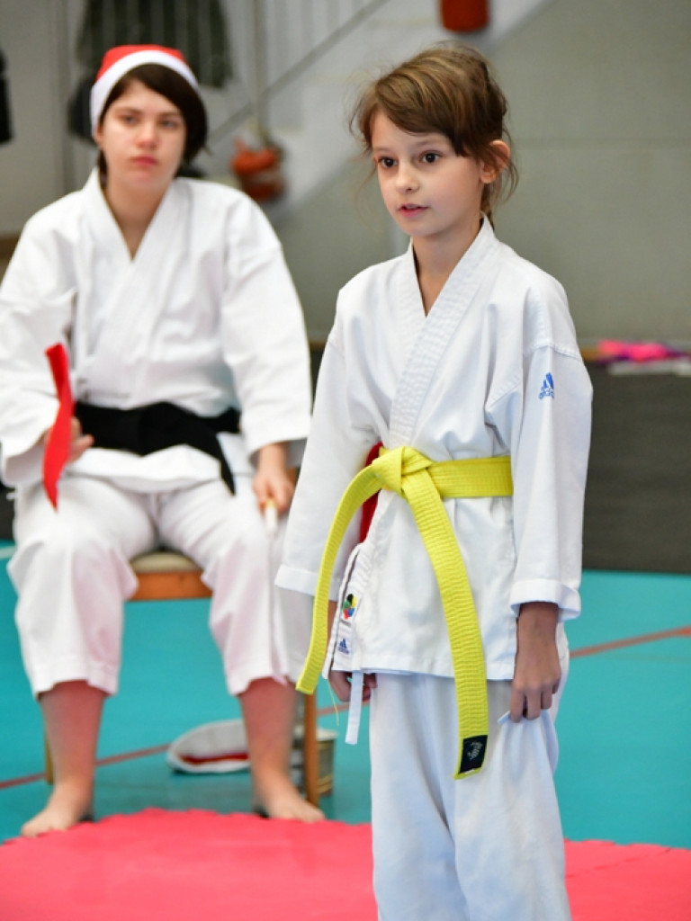 28. Mikołajkowy Turniej Karate Tradycyjnego dla Dzieci (FOTO)