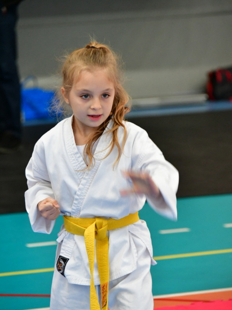 28. Mikołajkowy Turniej Karate Tradycyjnego dla Dzieci (FOTO)