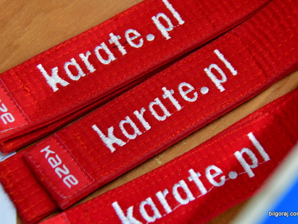 28. Mikołajkowy Turniej Karate Tradycyjnego dla Dzieci (FOTO)