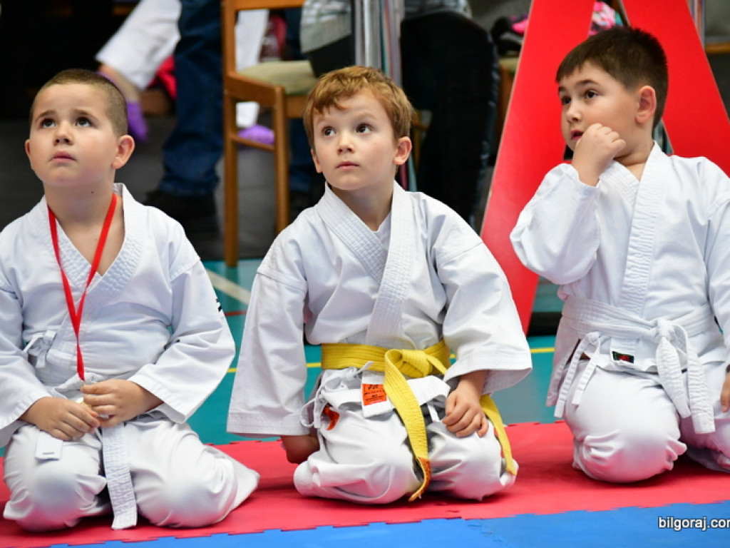28. Mikołajkowy Turniej Karate Tradycyjnego dla Dzieci (FOTO)