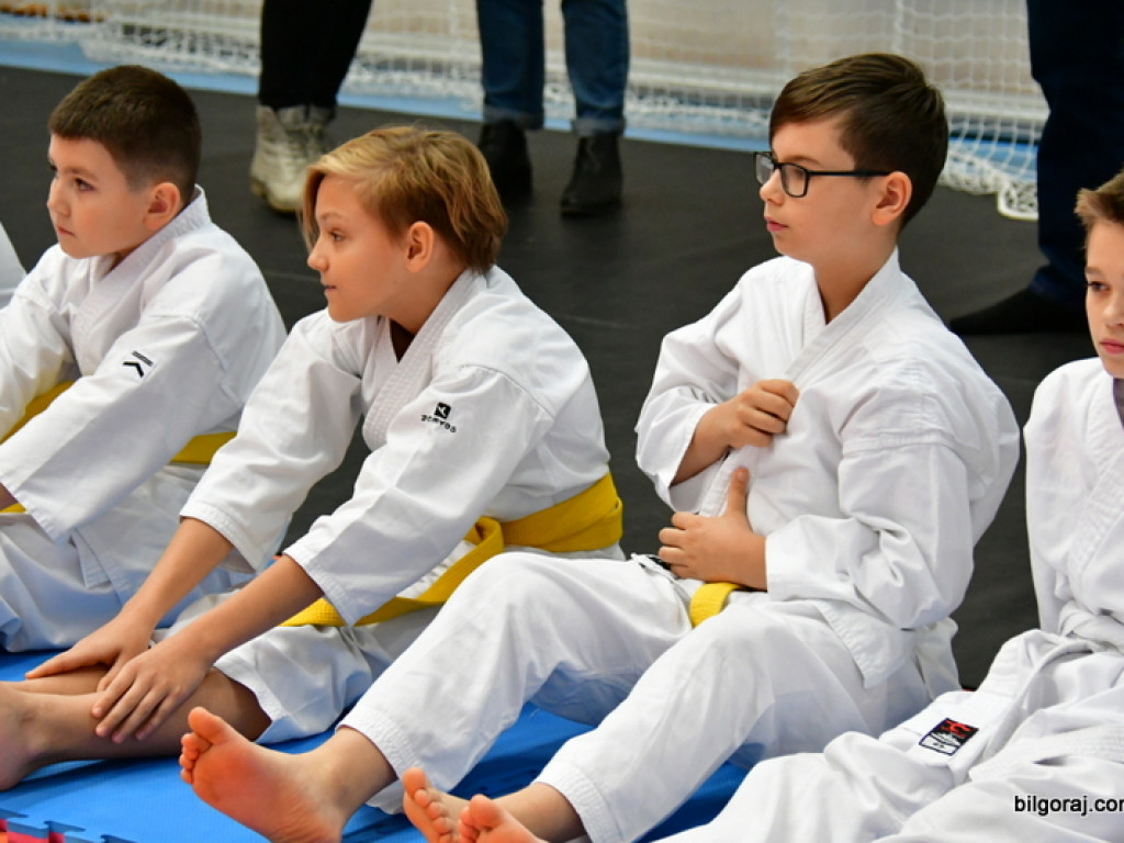 28. Mikołajkowy Turniej Karate Tradycyjnego dla Dzieci (FOTO)