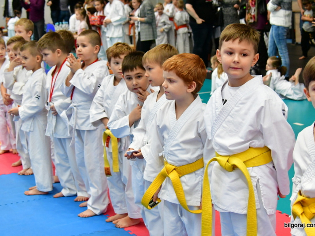 28. Mikołajkowy Turniej Karate Tradycyjnego dla Dzieci (FOTO)
