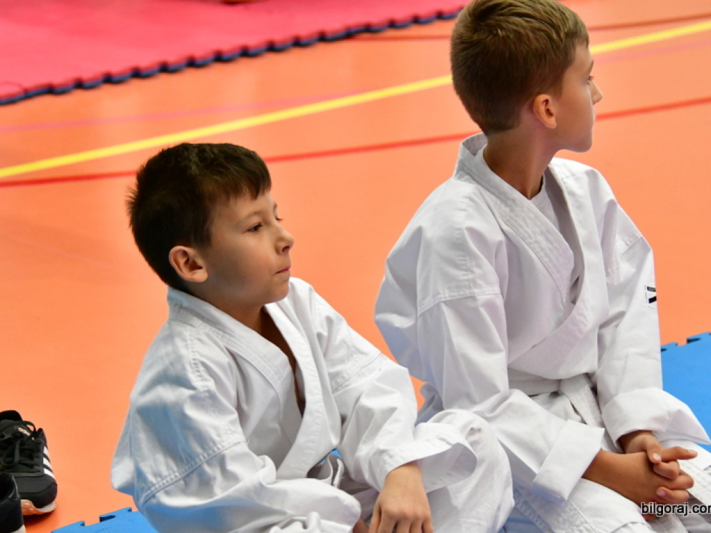 28. Mikołajkowy Turniej Karate Tradycyjnego dla Dzieci (FOTO)