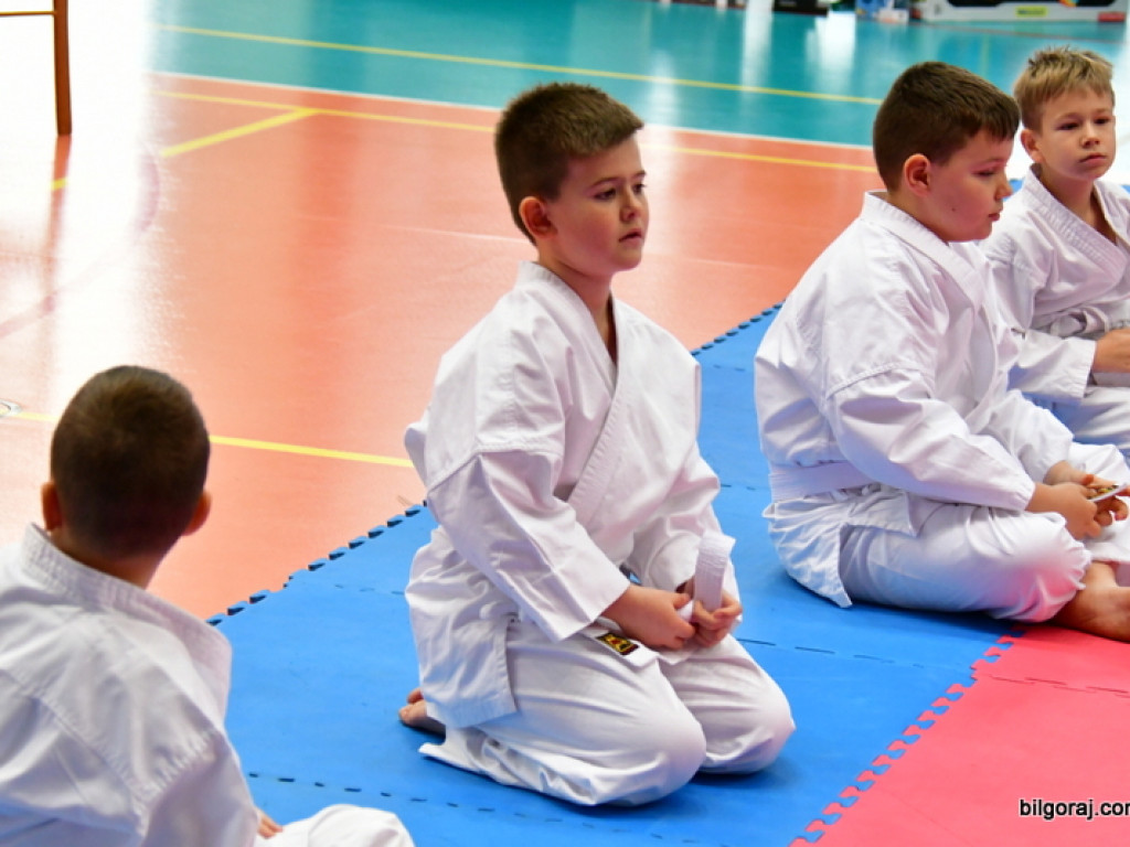 28. Mikołajkowy Turniej Karate Tradycyjnego dla Dzieci (FOTO)