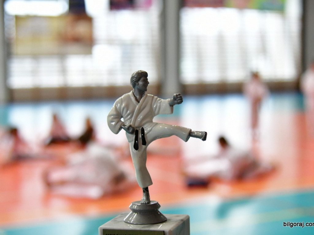 Ferie z karate (FOTO)