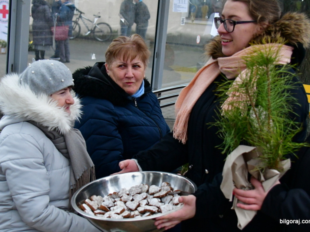 Eko - walentynki. Młodzież rozdawała sadzonki drzew i rozmawiała o ekologii (FOTO)
