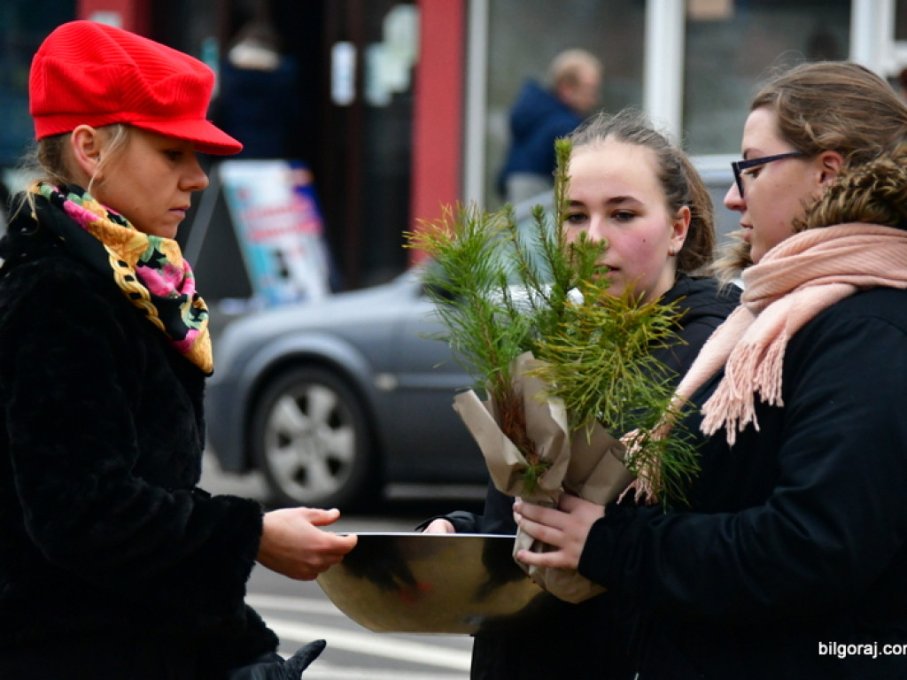 Eko - walentynki. Młodzież rozdawała sadzonki drzew i rozmawiała o ekologii (FOTO)