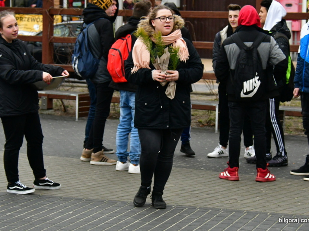Eko - walentynki. Młodzież rozdawała sadzonki drzew i rozmawiała o ekologii (FOTO)