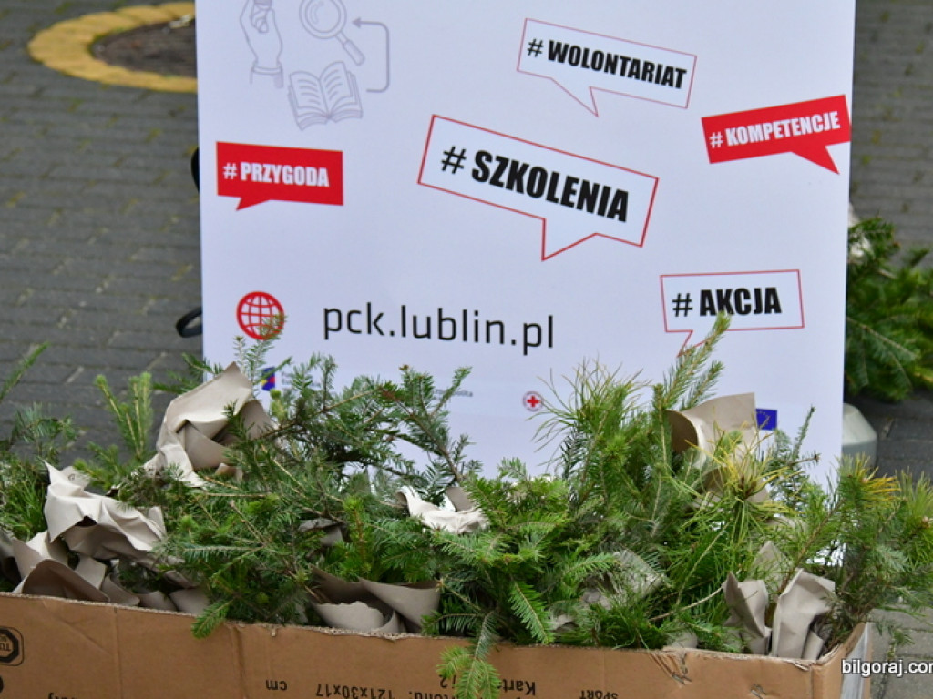 Eko - walentynki. Młodzież rozdawała sadzonki drzew i rozmawiała o ekologii (FOTO)