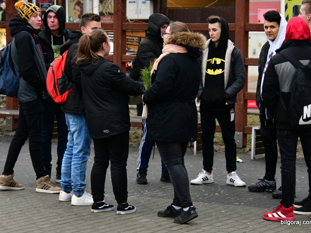 Eko - walentynki. Młodzież rozdawała sadzonki drzew i rozmawiała o ekologii (FOTO)
