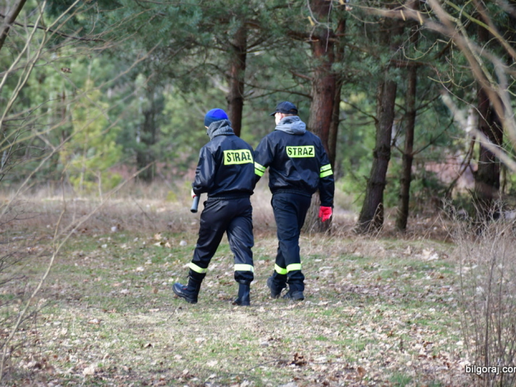 Eko - Challenge i sprzątanie lasu Dereźnia - Wola Dereźniańska - Sól (FOTO)
