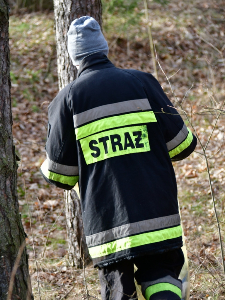 Eko - Challenge i sprzątanie lasu Dereźnia - Wola Dereźniańska - Sól (FOTO)