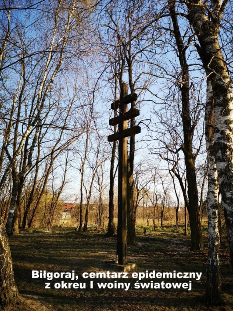 Karawaki Ziemi Biłgorajskiej (FOTO)