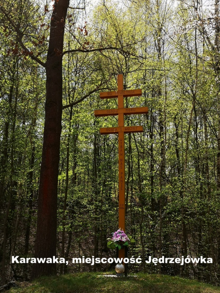 Karawaki Ziemi Biłgorajskiej (FOTO)