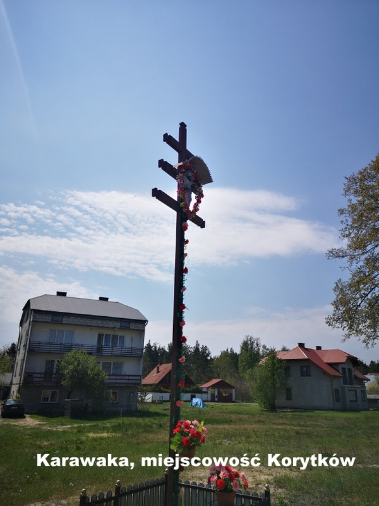 Karawaki Ziemi Biłgorajskiej (FOTO)