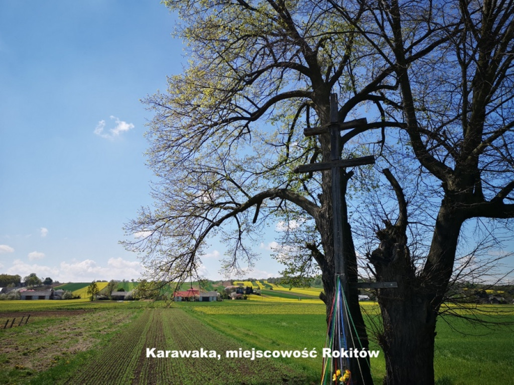 Karawaki Ziemi Biłgorajskiej (FOTO)