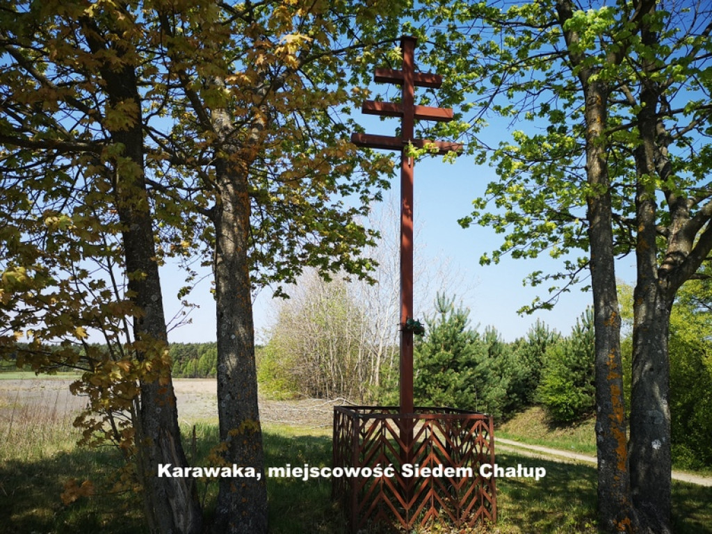 Karawaki Ziemi Biłgorajskiej (FOTO)