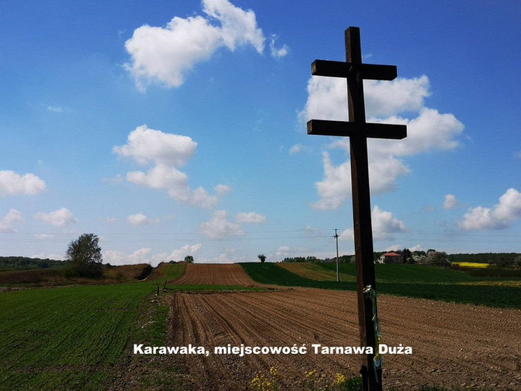 Karawaki Ziemi Biłgorajskiej (FOTO)