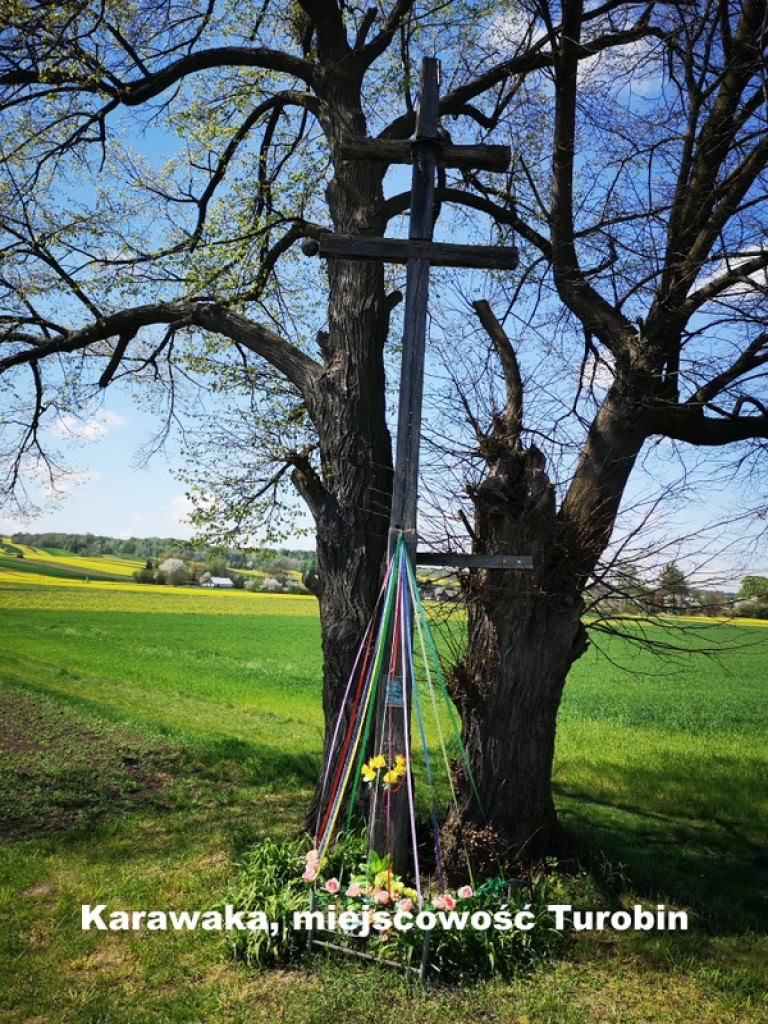Karawaki Ziemi Biłgorajskiej (FOTO)