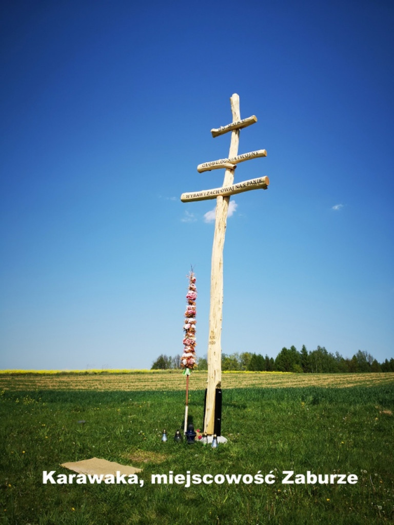 Karawaki Ziemi Biłgorajskiej (FOTO)