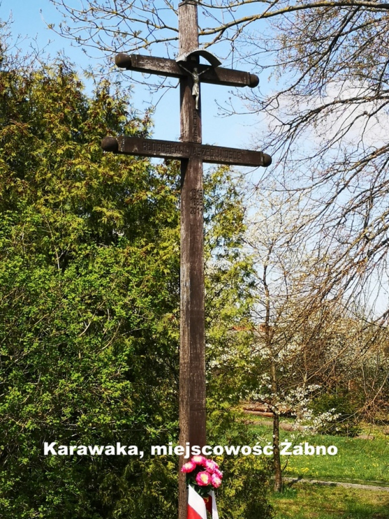 Karawaki Ziemi Biłgorajskiej (FOTO)