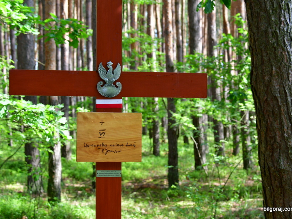 Przeszli śladami partyzantów w drodze krzyżowej (FOTO)