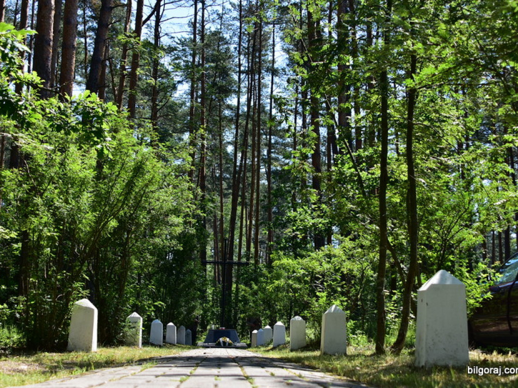 Mord partyzantów na Rapach k/Biłgoraja. Mieszkańcy powiatu oddali cześć żołnierzom AK i BCh (FOTO)