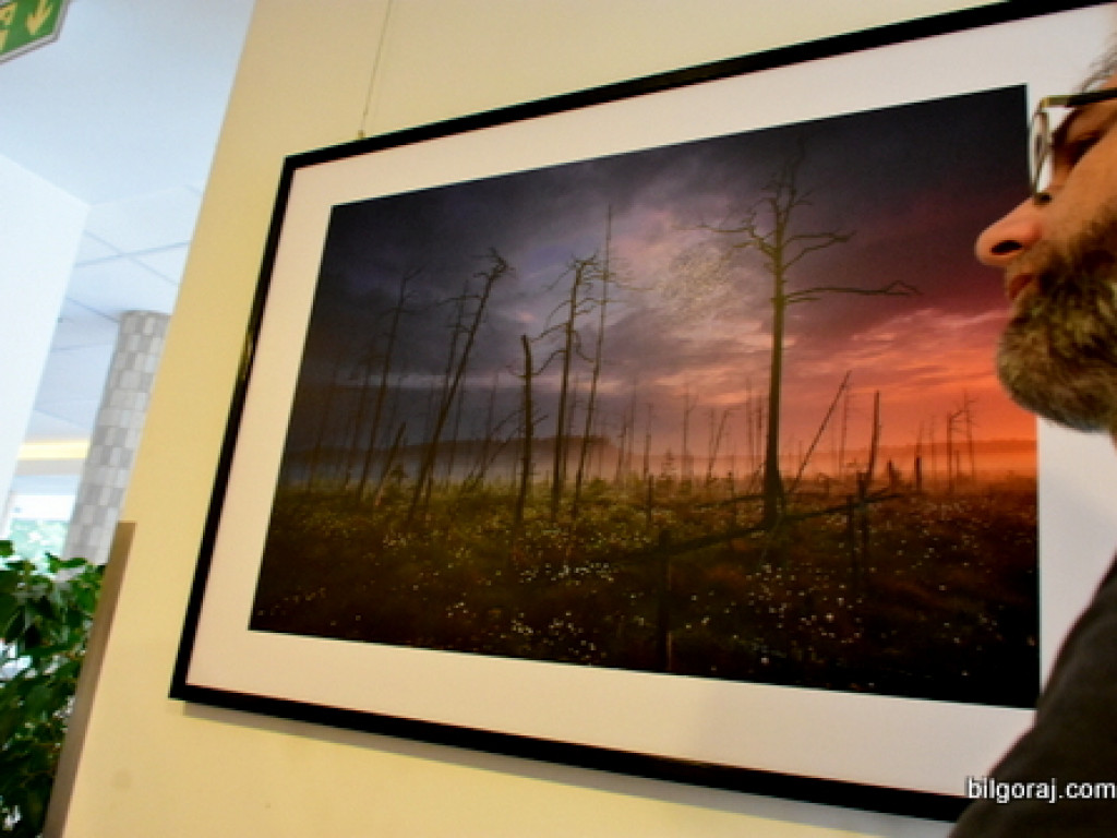 Rezerwat Obary, okiem biłgorajskiego fotografika Grzegorza Szkutnika (FOTO)