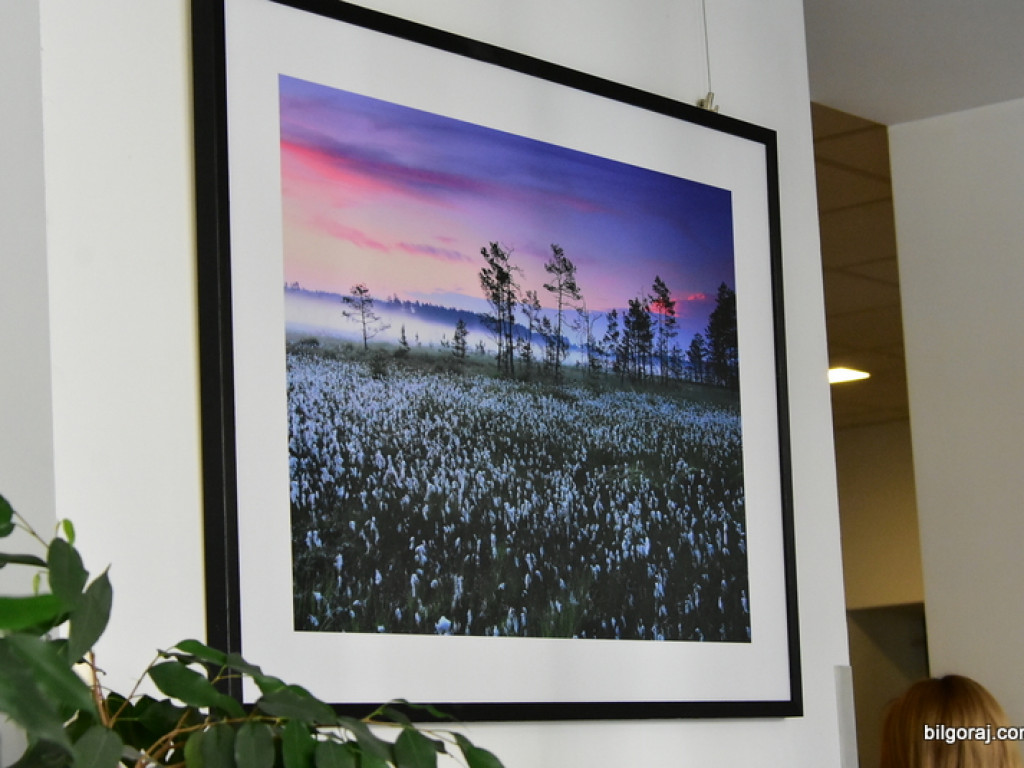 Rezerwat Obary, okiem biłgorajskiego fotografika Grzegorza Szkutnika (FOTO)