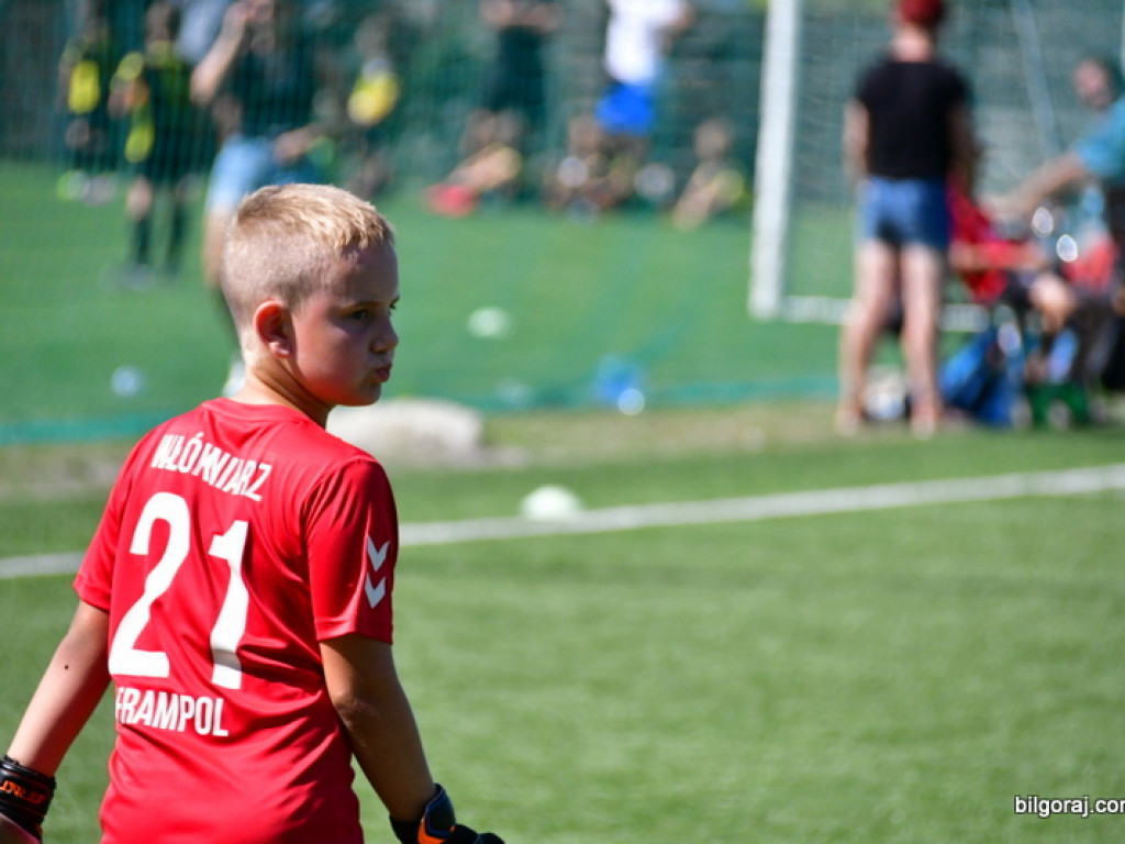 Piłkarski turniej pod patronatem posłanki i starosty biłgorajskiego