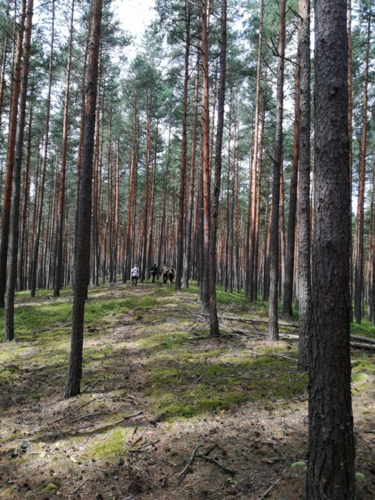 Zakończył się rajd partyzancki (FOTO)