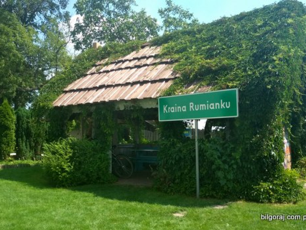 Rumiankowa współpraca