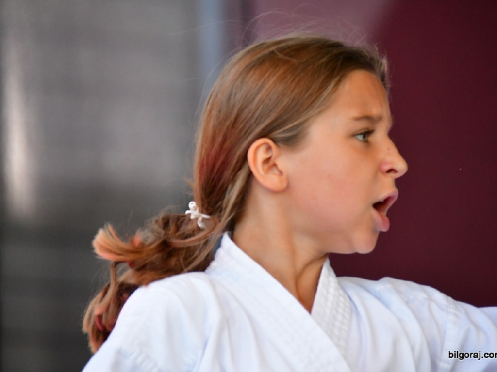 Trwa XXVIII Puchar Małych Mistrzów w Karate Tradycyjnym (FOTO)