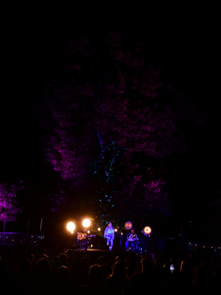 Koncert w cieniu drzewa. Wystąpili Michalina Lipińska i Paweł Skiba (FOTO)