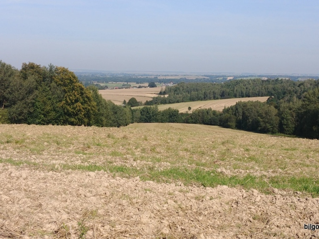 Kilkuset rowerzystów na szlaku 