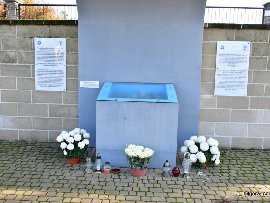 Akcja BTR Chryzantemy - Covid-19 (FOTO)