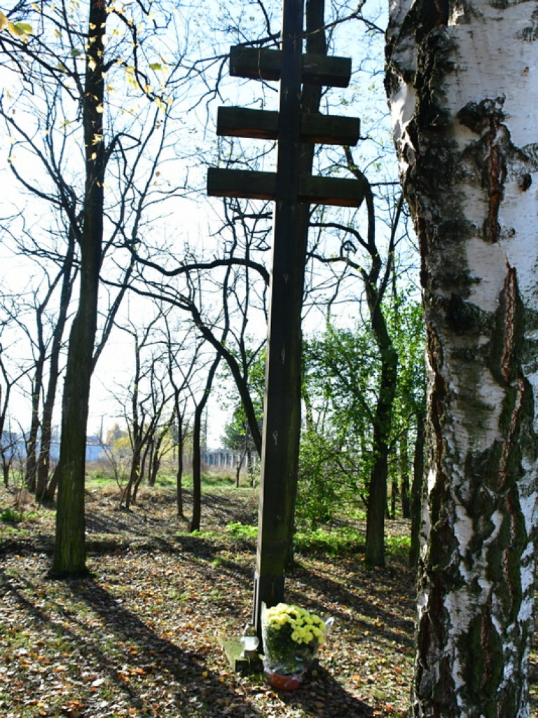 Akcja BTR Chryzantemy - Covid-19 (FOTO)
