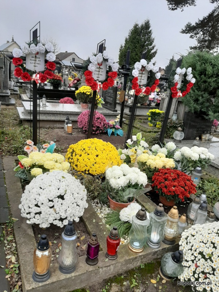Akcja BTR Chryzantemy - Covid-19 (FOTO)