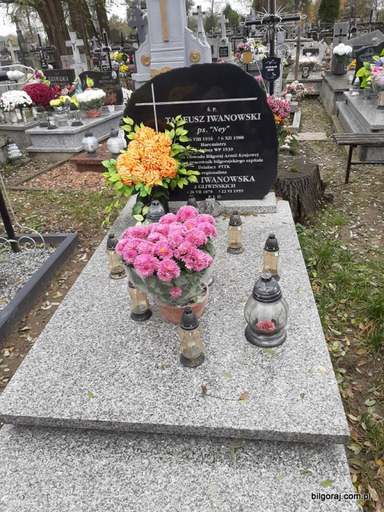 Akcja BTR Chryzantemy - Covid-19 (FOTO)